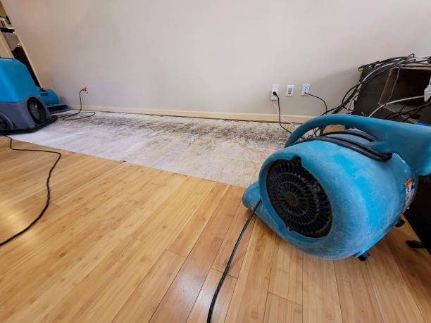Professional Water Damage Repair technician working in Drumright, OK